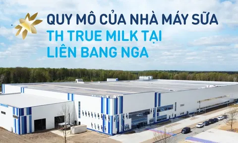 Những con số làm nên quy mô của nhà máy sữa hàng đầu tại Nga của TH true MILK