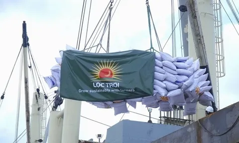 Lộc Trời chưa thể vượt qua khủng hoảng dòng tiền