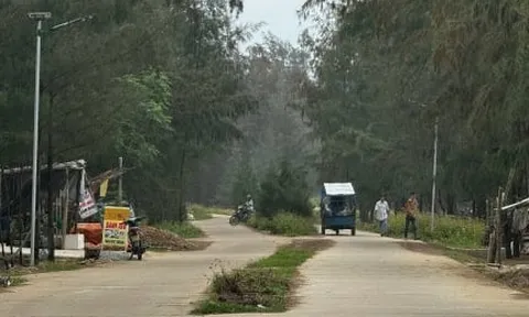Tạm hoãn xuất cảnh 2 giám đốc 'rút ruột' công trình đường ven biển ở Quảng Ngãi