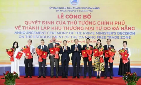 Terne Holdings, The One Destination, Sun Group, BRG, IPPG, Phương Trang… đổ bộ vào Khu thương mại tự do Đà Nẵng
