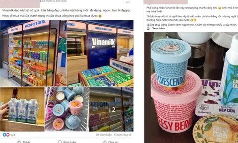 13 năm liền được chọn mua nhiều nhất: Thương hiệu Vinamilk có gì đặc biệt?