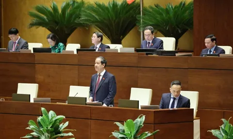 Phòng, chống bạo lực học đường: Cần sự phối hợp giữa nhà trường, gia đình và xã hội