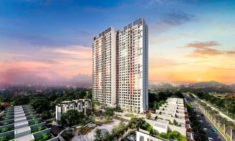Chưa từng có: Doanh nghiệp lãi tăng 6.740 lần, chi cổ tức gấp 2,6 lần vốn điều lệ