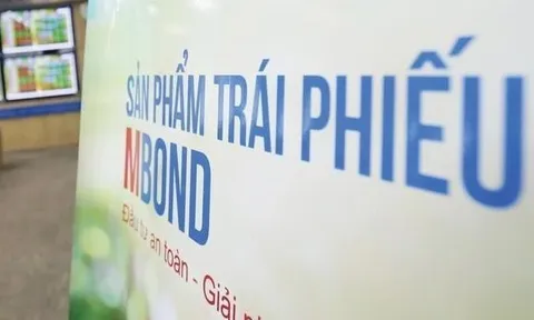Novaland chậm thanh toán 861 tỷ đồng gốc, lãi trái phiếu