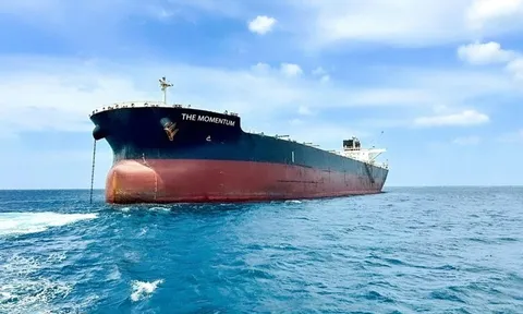 Tỷ phú Trần Đình Long khai thác tàu hàng rời lớn nhất từ trước tới nay, tải trọng 110.000 DWT