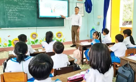 Dạy tiểu học cần có văn bằng gì?