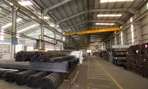 VGL bị xử phạt và truy thuy hơn 1,6 tỷ đồng tiền thuế