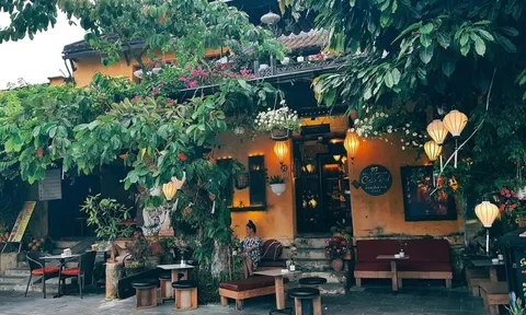 Giới tinh hoa đang đi tìm nơi để sống chậm – nhưng không chậm sống