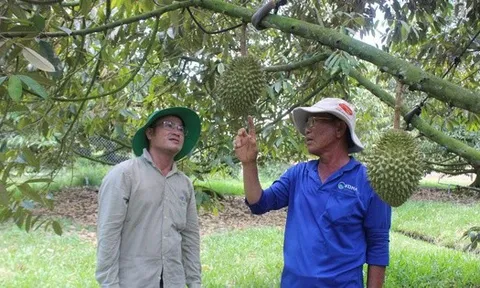 Loạt dự án chiến lược ở Tây Ninh được chấp thuận chủ trương đầu tư