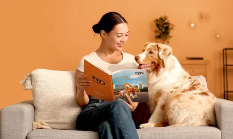 Ứng dụng FWD phiên bản mới: Quản lý bảo hiểm dễ dàng như lướt mạng xã hội