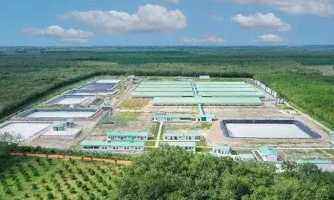 Baf Việt Nam ‘rót’ 150 tỷ đồng thành lập công ty con tại Ninh Bình