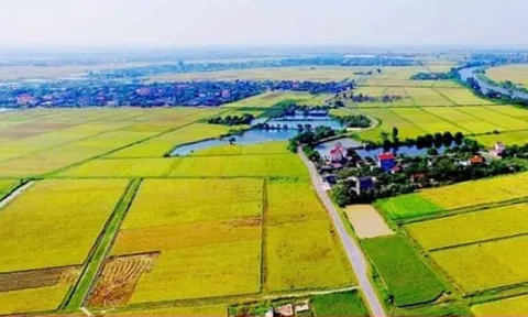 Chuyển đất nông nghiệp sang đất ở: Hoảng hốt tiền sử dụng đất cao đột biến