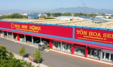 Hoa Sen Group bổ nhiệm một Phó Tổng Giám đốc