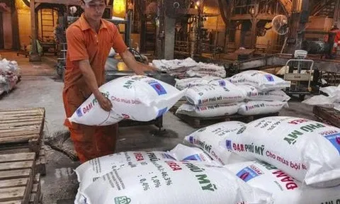 Đạm Phú Mỹ sắp chi hơn 587 tỷ đồng trả cổ tức cho cổ đông
