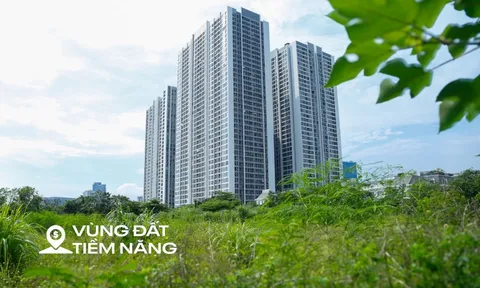 Toàn cảnh khu đất vàng rộng 6 ha vừa được thu hồi để xây nhà thấp tầng, đối diện dự án có biệt thự 1 tỷ đồng/m2 của Vinhomes