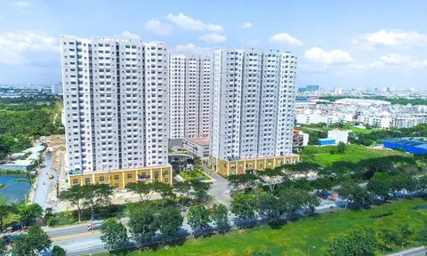 "Ông trùm" nhà ở xã hội đóng cửa 5 chi nhánh tại TP.HCM