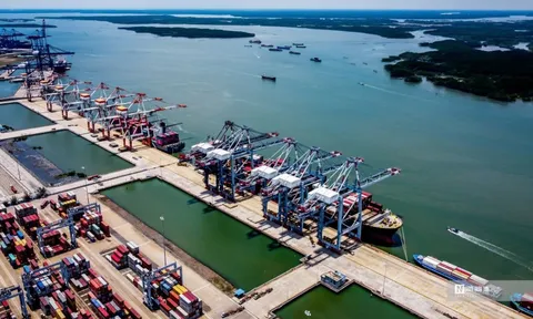 Logistics xanh là điểm tựa để doanh nghiệp vượt qua những "cú sốc" lớn