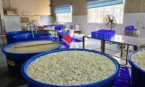 Phát hiện gần 7 tấn chân gà ngâm chất tẩy trắng