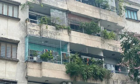 TPHCM yêu cầu xử lý dứt điểm nạn cơi nới, lấn chiếm căn hộ
