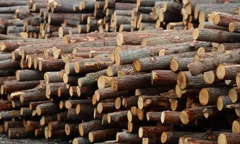 Mỹ giảm thuế xuống 20%, đã chi hơn 4 tỷ USD nhập khẩu cho ngành hàng 'hái ra tiền' này của Việt Nam