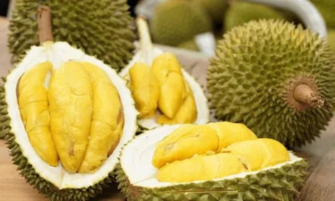 Tỷ phú Trần Bá Dương chính thức thu hoạch sầu riêng Monthong, 25-30 tấn lên kệ EMart