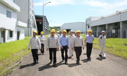 BSR - Hành trình chuyển đổi năng lượng và nhiên liệu xanh