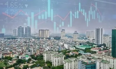 Cổ phiếu bất động sản tiếp tục nổi sóng, CEO, DIG, Novaland là tâm điểm, một DN đã tăng trần liên tiếp 11 phiên