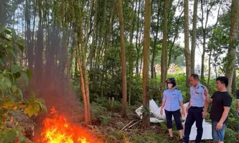 Phạt cơ sở kinh doanh gần 1,5 tạ thực phẩm đông lạnh không rõ nguồn gốc