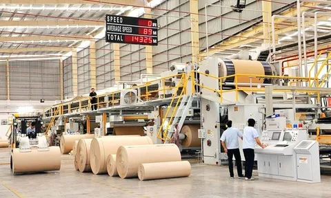 Đông Hải Bến Tre báo lãi tăng trưởng bất chấp doanh thu giảm