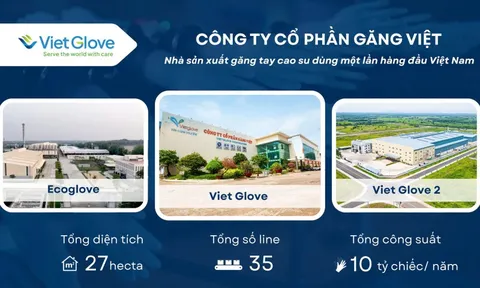 Găng Việt: Tiên phong dẫn lối phát triển ngành công nghiệp găng tay Việt
