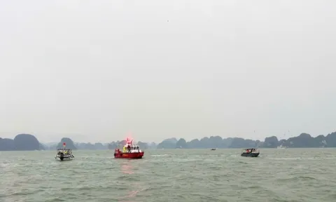 Đảm bảo an toàn cho khách du lịch, ứng phó kịp thời với bão số 3