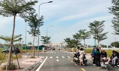 Bộ Xây dựng: Sốt đất tại Bắc Ninh, Phú Thọ, Ninh Bình, Hưng Yên, Hải Phòng, Đồng Nai... trước sáp nhập chủ yếu là giao dịch đầu cơ