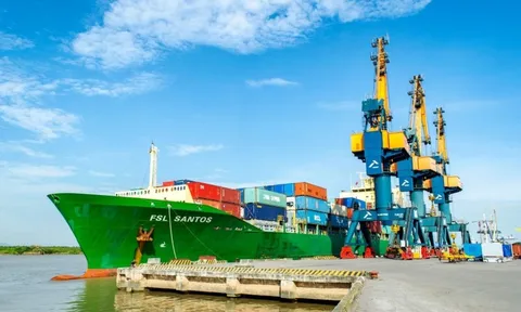 Công ty sở hữu đội tàu container lớn nhất Việt Nam báo lãi sau thuế quý 2/2025 gấp 3 lần cùng kỳ, lập đỉnh lợi nhuận