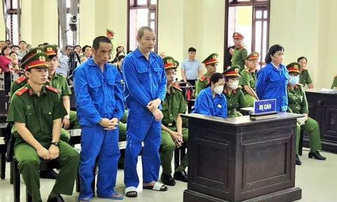 Bà chủ 3 công ty bất động sản Nguyễn Thị Cẩm Hồng đã lừa đảo số tiền lớn mức nào?