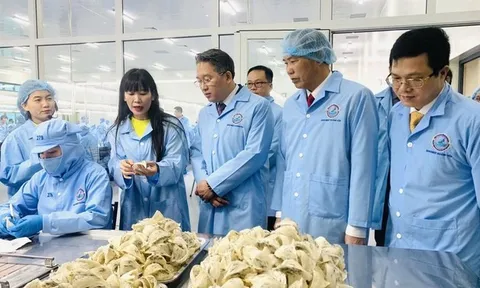 Doanh thu giảm tốc, Sanvinest vẫn giữ đà lợi nhuận