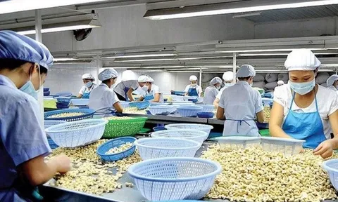 Mỹ áp thuế 20% với hàng Việt Nam: Doanh nghiệp, chuyên gia kỳ vọng giảm thêm