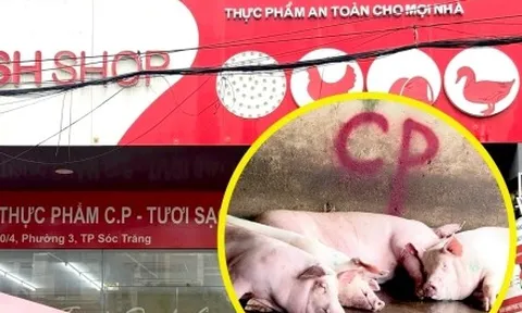 Diễn biến mới nhất vụ Công ty C.P. Việt Nam bị tố bán thịt heo bệnh