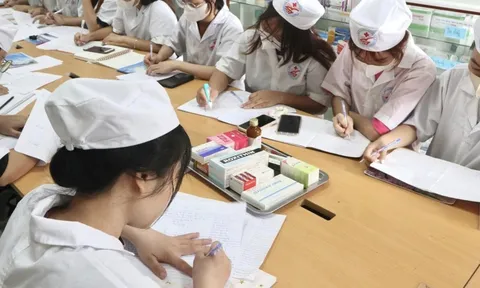 Kiểm định bắt buộc chương trình đào tạo đặc thù