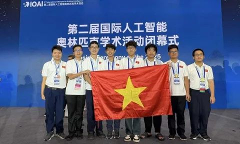Đội tuyển quốc gia Việt Nam vào Top 4 Olympic AI quốc tế 2025