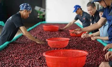 Xuất khẩu vào Mỹ bắt đầu khó, doanh nghiệp thận trọng từng đơn hàng