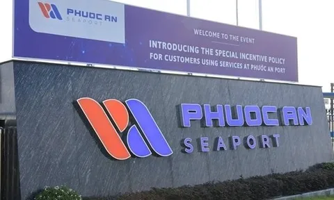 Lỗ luỹ kế 6 tháng gần 250 tỷ đồng, một công ty bất ngờ bổ nhiệm nữ lãnh đạo sinh năm 2002