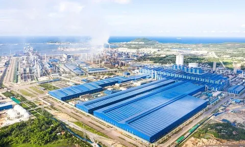 Quảng Ngãi: Xuất khẩu sang thị trường Hoa Kỳ gần 400 triệu USD trong 7 tháng