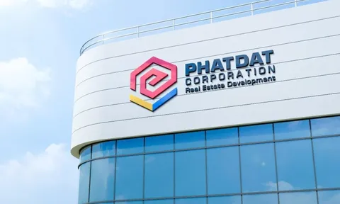 Phát Đạt báo lãi 65 tỷ khi doanh thu 20 tỷ: "Phép màu" từ một giao dịch và đối tác bí ẩn thành lập đúng ngày ký thương vụ