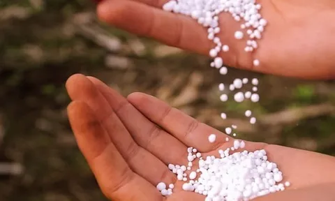 Nới lệnh cấm xuất khẩu, Trung Quốc tung ra thế giới hơn nửa triệu tấn mặt hàng chiến lược, xuất khẩu tăng 600%