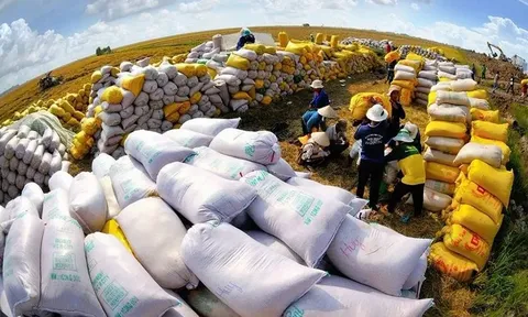 Người dân Philippines ưa chuộng gạo chất lượng cao từ Việt Nam