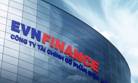 EVNFinance (EVF) đổi tên, đổi logo ngay sau kết luận thanh tra