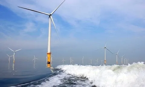 Cơ Điện Lạnh (REE) trúng thầu 2 dự án điện gió công suất 80 MW, tổng mức đầu tư 3.860 tỷ đồng tại Vĩnh Long