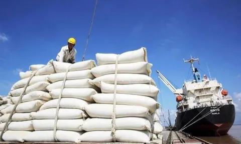 Giá gạo Việt Nam cao nhất thế giới