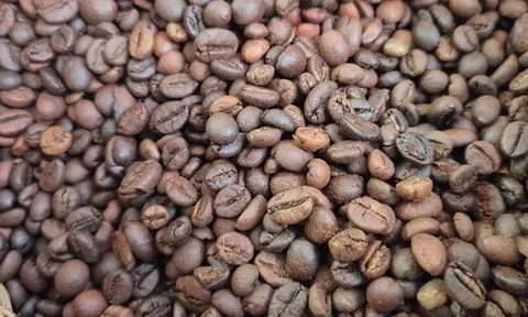 Giá cà phê hôm nay 27-8: Robusta tăng 5 phiên liên tục, cà phê Việt giảm thị phần tại Nhật