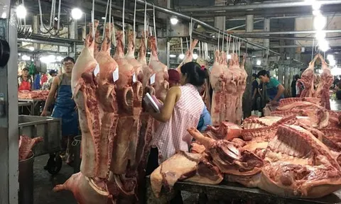 Lo ngại dịch, sức mua chậm, giá thịt heo tiếp tục giảm